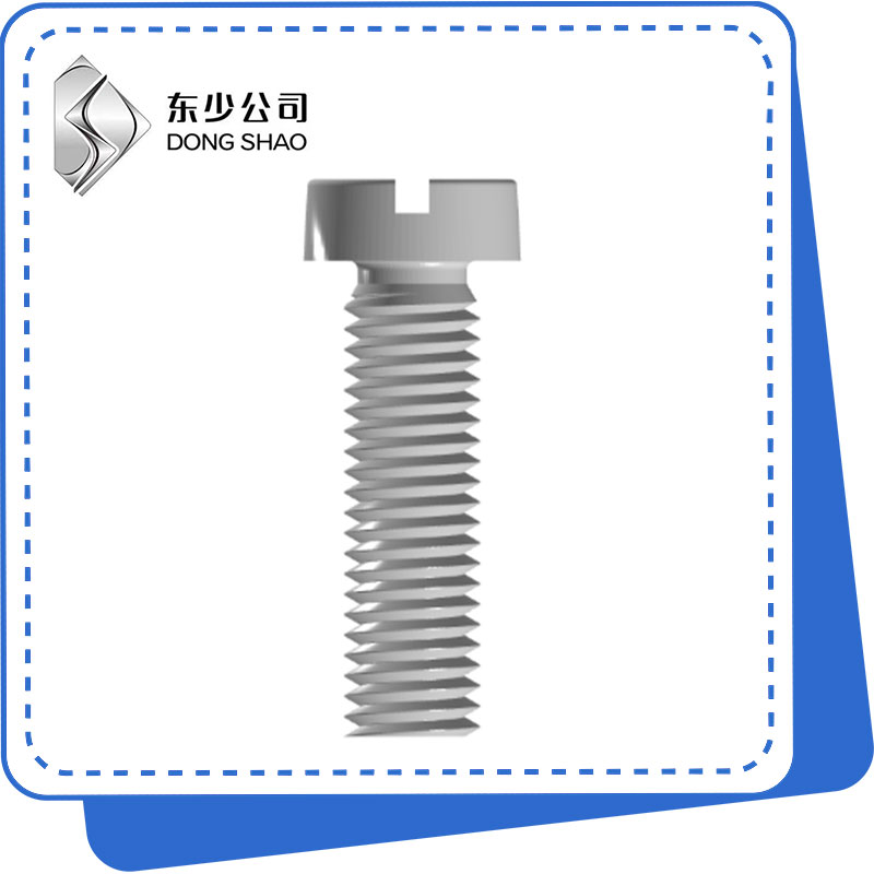 Slotted Jibini Kichwa Screws